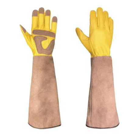 Gloves